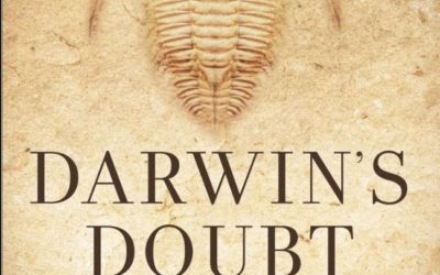 Darwins tvil . uten tvil en bestselger