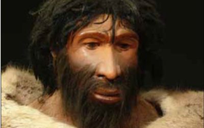 Neandertaleren – et menneske